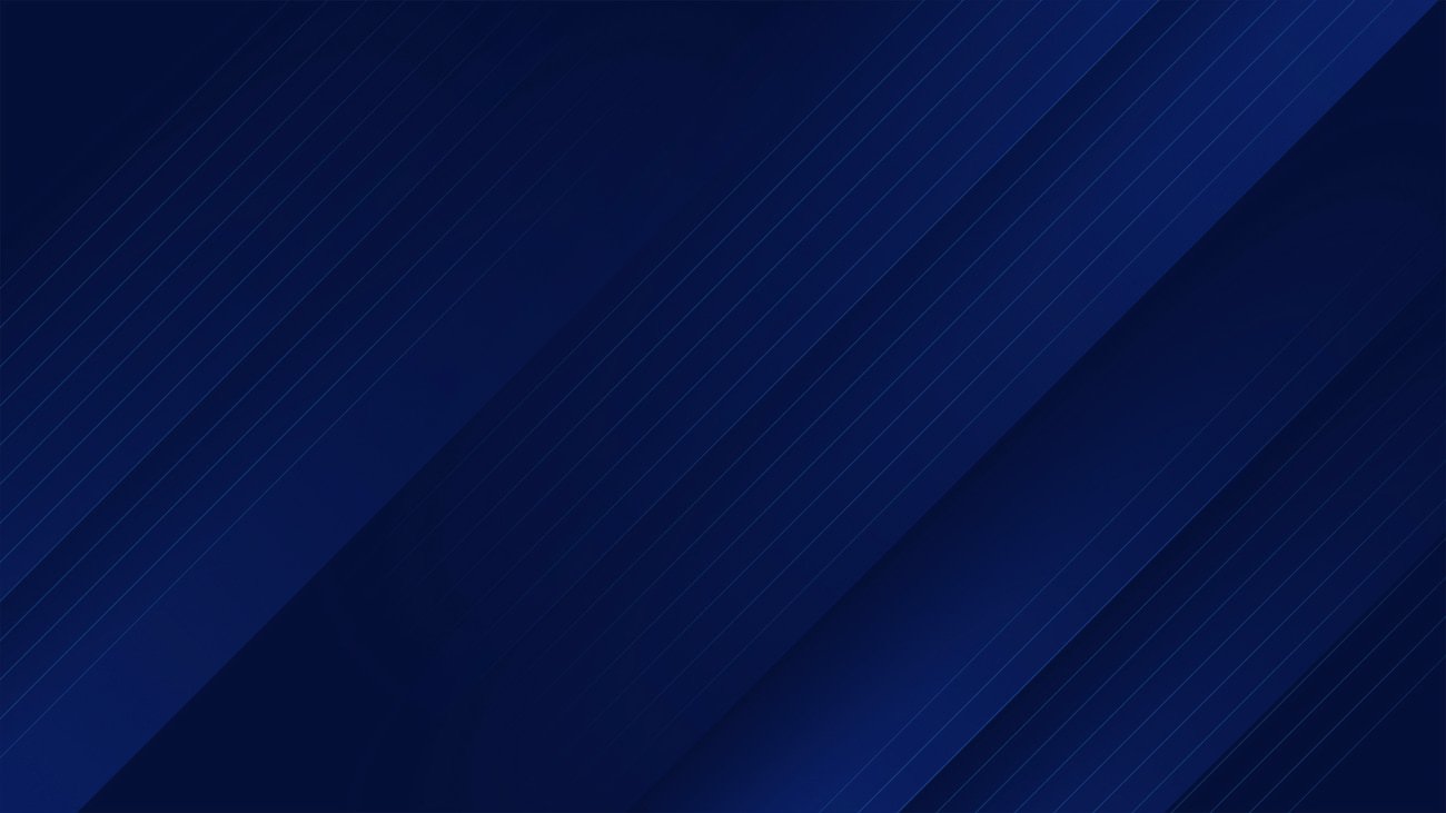 adneko bilişim izmir